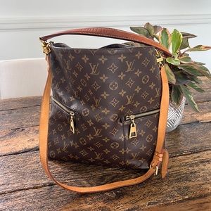Louis Vuitton monogram bag